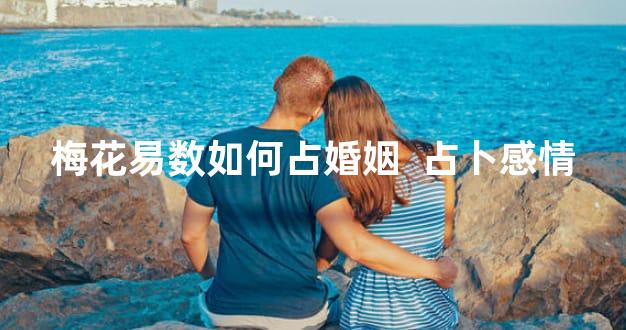 梅花易数如何占婚姻  占卜感情